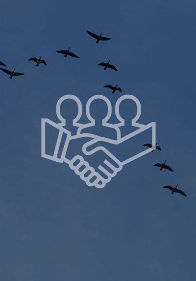 networking company in mumbai